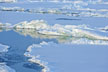Melting Lands